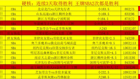 2025年新洲“新华杯”中小学生篮球赛火热开赛