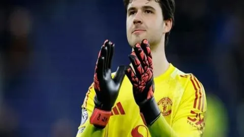 鹈鹕击败太阳，锡安揽获三双助力球队止住连败势头